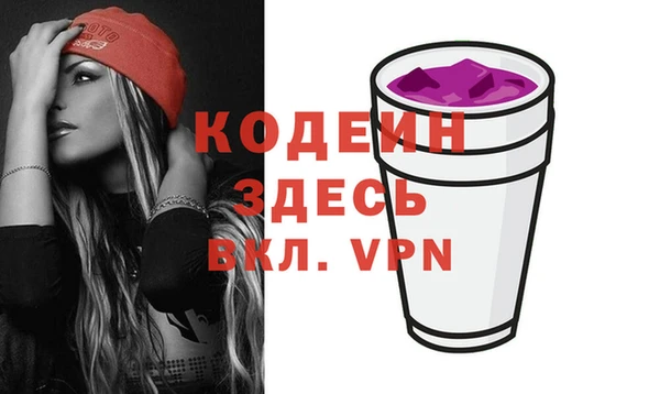сатива Осинники