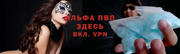дмт Алзамай