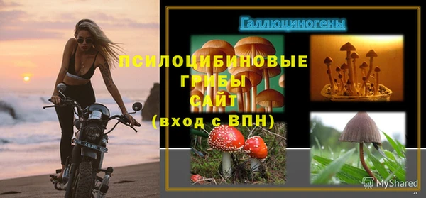 дмт Алзамай
